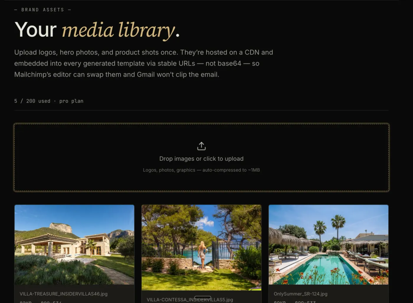 EmailTemple media library: CDN-hosted brand images with an upload dropzone