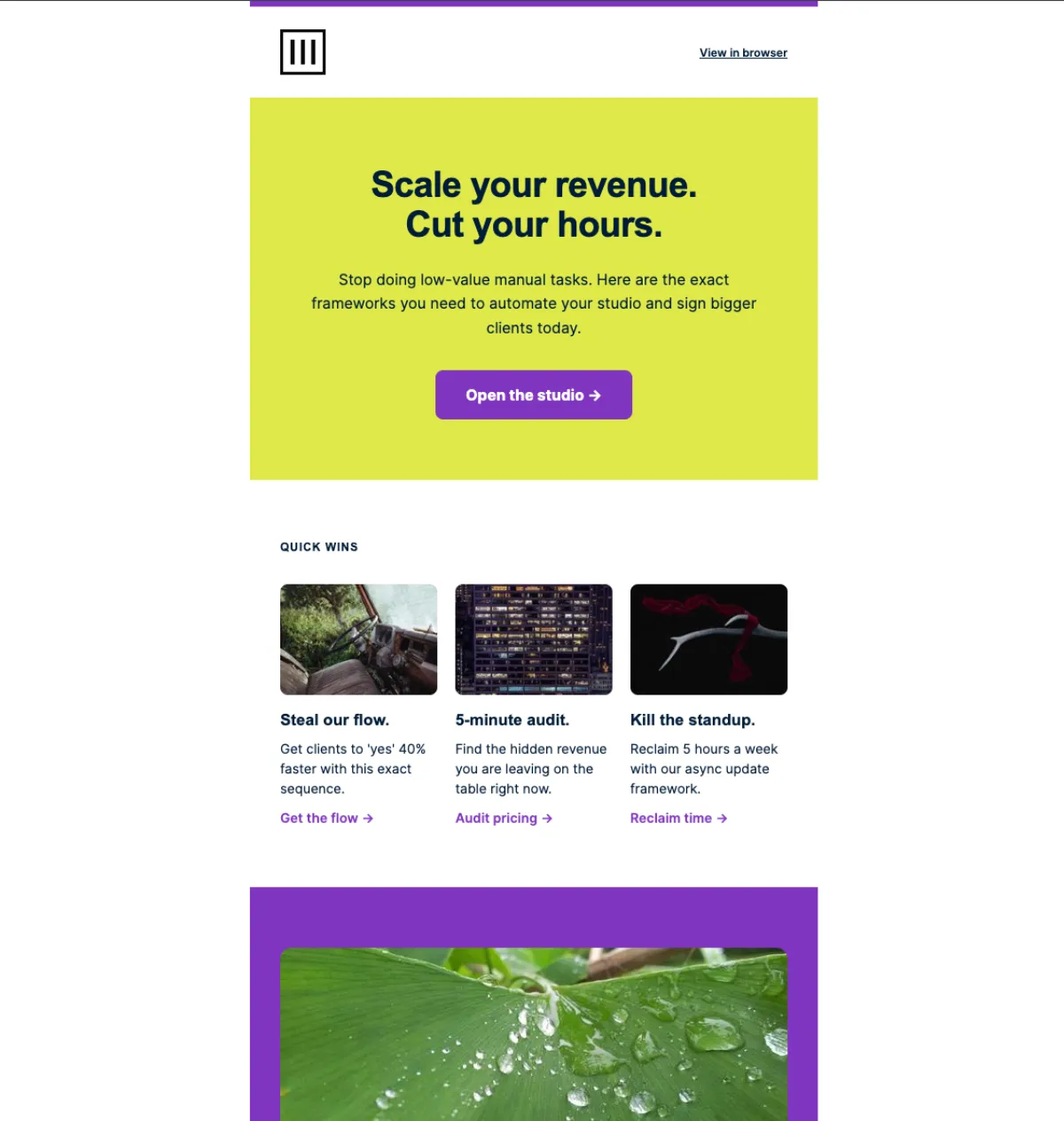 Content roundup — MailerLite