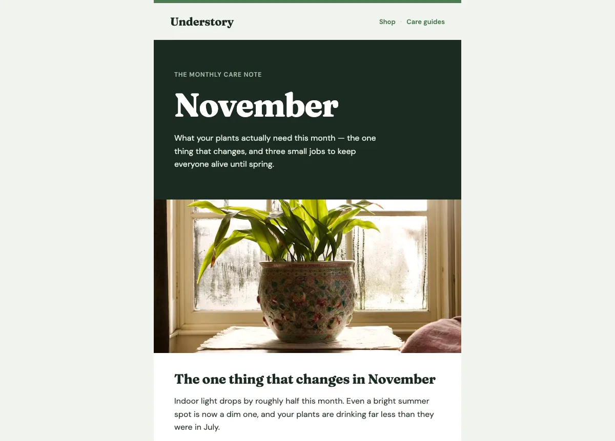 Houseplant seasonal care calendar — Klaviyo