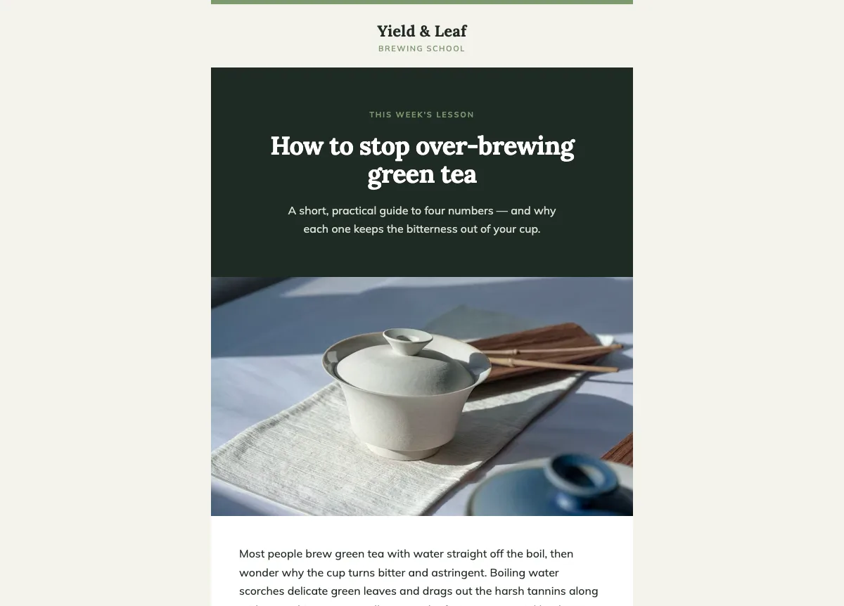 Tea brewing education newsletter — Klaviyo
